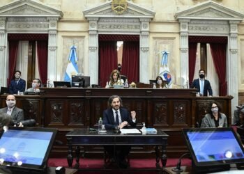 “El Presidente se la juega por salvar vidas y la oposición politiza la pandemia”