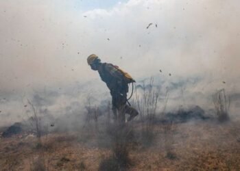 Los incendios en Corrientes “van a impactar en la ganadería argentina”, dijo Domínguez