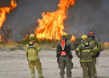 En la Pampa este año se incendiaron 37 mil hectáreas