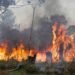 Se reactivaron focos de incendios forestales en Corrientes