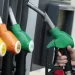 Estaciones de servicio advierten sobre posibles faltantes de gasoil durante Semana Santa