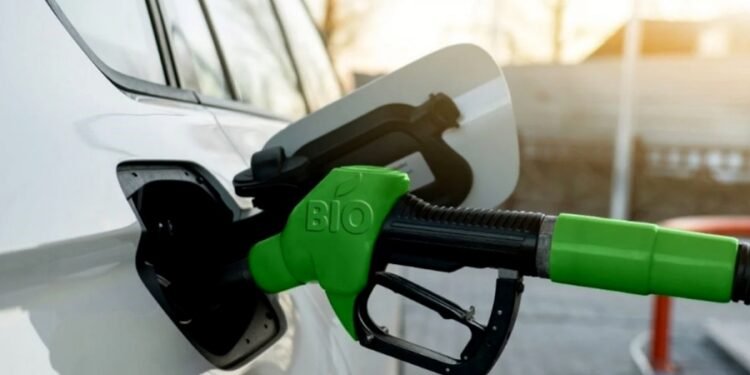 Proponen incrementar el porcentaje de biodiesel para resolver faltante de gasoil