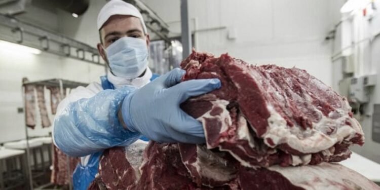 Carne: cuáles y cuánto salen los siete cortes que alcanza el programa