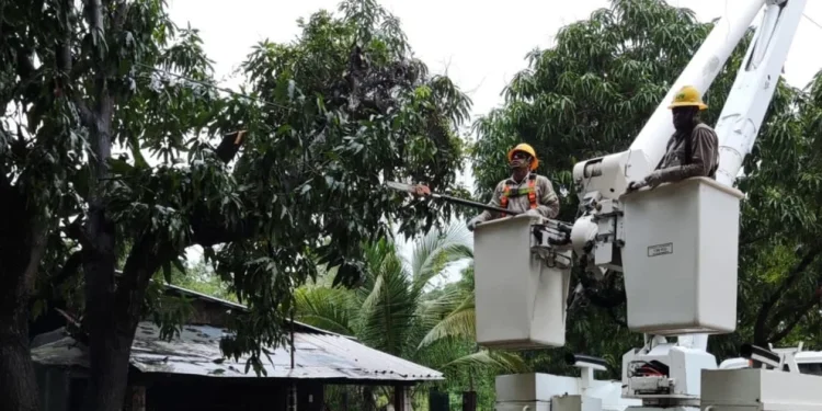 El Gobierno sancionará a Edenor y Edesur por dejar hasta 570.000 usuarios sin servicio eléctrico a lo largo del fin de semana
