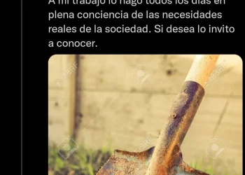 El desafío de las palas: una diputada hizo un papelón al subir una imagen con marca de agua