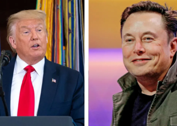 Trump anunció que Elon Musk se sumará a su gabinete