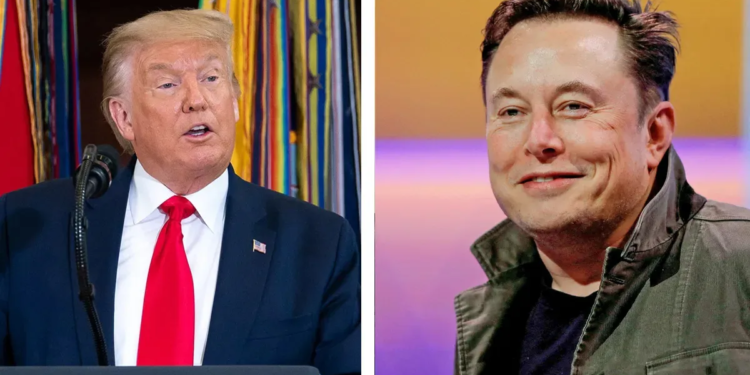 Trump anunció que Elon Musk se sumará a su gabinete