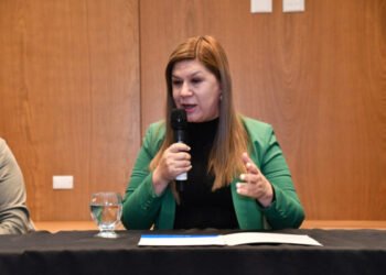 Escándalo en Neuquén: la Legislatura separó de su cargo a la vicegobernadora