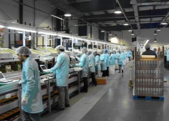 El INDEC informó que la actividad económica se recuperó en el tercer trimestre