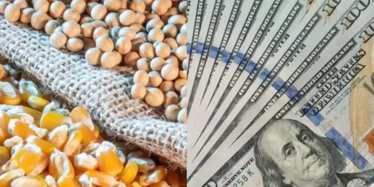 Sector agroexportador argentino registra aumento del 36% en ingresos de enero, alcanzando 2.073 millones de dólares