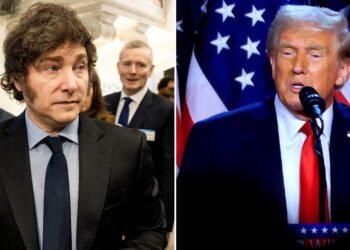 Milei rompe con la OMS y desata polémica: Argentina abandona el organismo