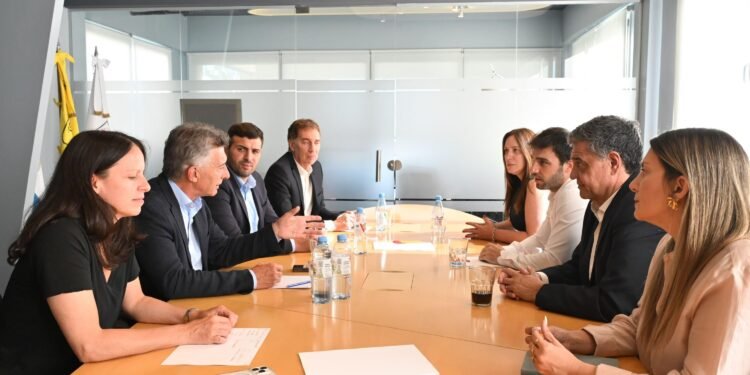 El PRO iría con La Libertad Avanza en una alianza por distritos