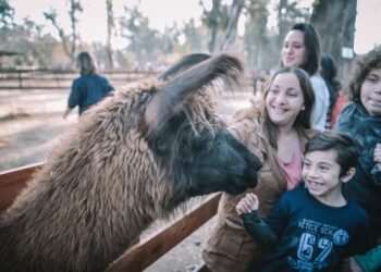 Parque inflable, pista de patinaje y un hot sale: algunas de las atracciones para estas vacaciones en Escobar