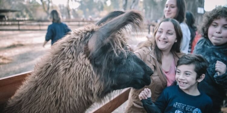 Parque inflable, pista de patinaje y un hot sale: algunas de las atracciones para estas vacaciones en Escobar