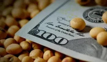 Entrada récord de dólares agrícolas: un respiro para la Nación.