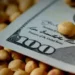Entrada récord de dólares agrícolas: un respiro para la Nación.