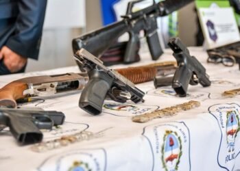 Mano firme, coraje y decisión política contra el delito: Ariel Sujarchuk presentó proyectos de ley contra la reiterancia de detenidos y para frenar la venta libre de armas semiautomáticas