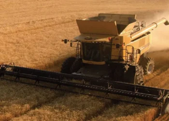 Liquidación agro se desploma: agosto crítico