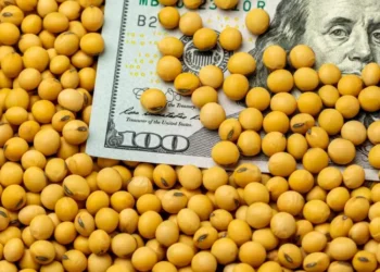 Retenciones: La baja exige más ajuste fiscal.