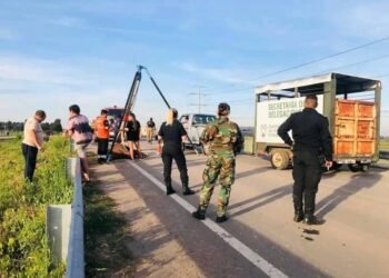 El municipio de merlo rescató un caballo maltratado por su dueño que era usado para tareas de carga