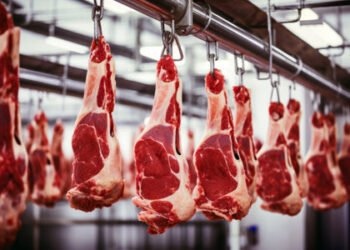 Argentina y la carne: Una oportunidad de oro.