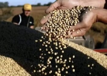 Campo: Retenciones cero y Argentina abierta al mercado global.