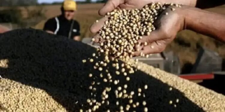 Campo: Retenciones cero y Argentina abierta al mercado global.