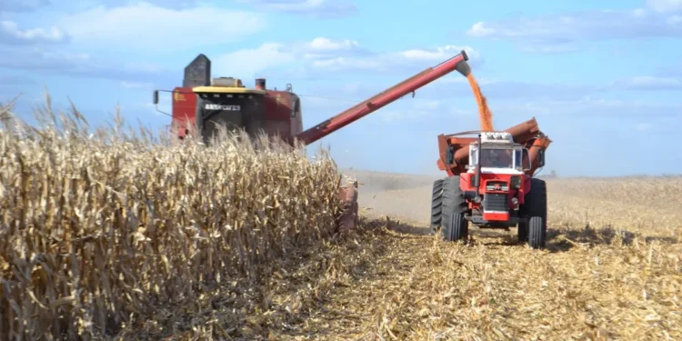 Agro: Gobierno reduce la burocracia.