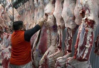 Cuota de carne argentina a EEUU: análisis para cuadruplicar