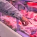 Exportación a EEUU: La carne argentina crece.