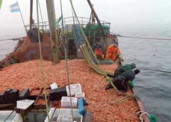 Nuevas opciones de pago para multas pesqueras