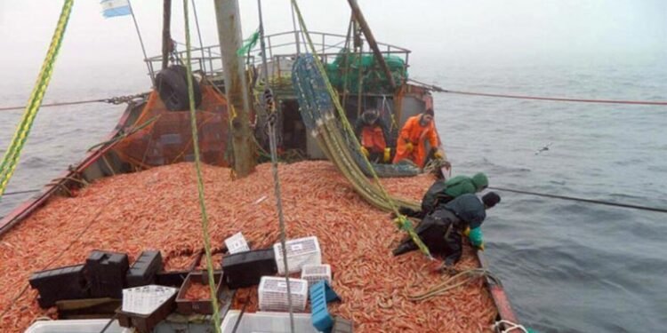 Nuevas opciones de pago para multas pesqueras