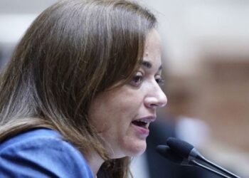 Lemoine vs. Moreau: la tensa discusión parlamentaria.