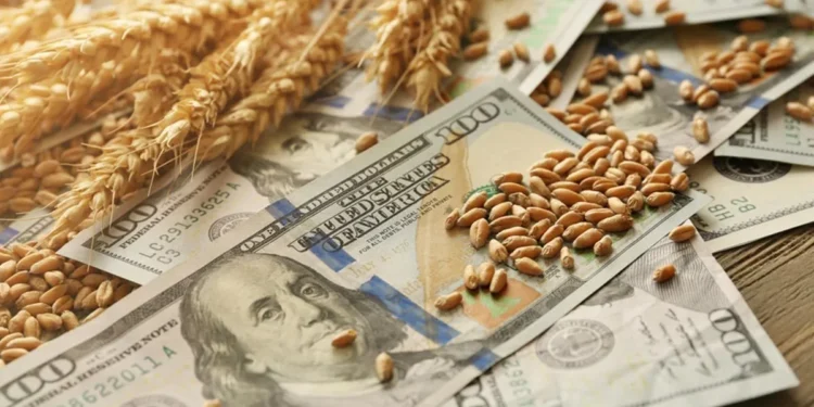 Dólar: Liquidaciones se hunden tras la medida de retenciones.