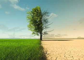 Los retos del desarrollo ante el cambio climático.
