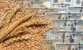 La ecuación del trigo: precio a la baja, ganancias firmes.