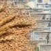 La ecuación del trigo: precio a la baja, ganancias firmes.