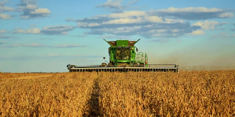El Gobierno recorta retenciones a la soja al 24%.