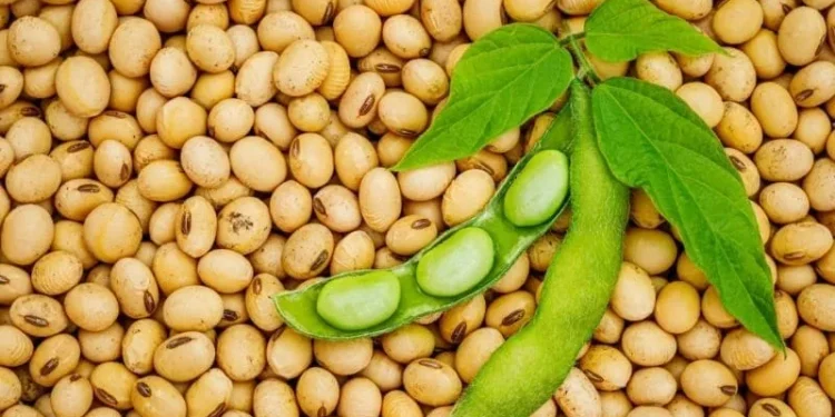 Alarma por el impacto de retenciones en el Presupuesto.