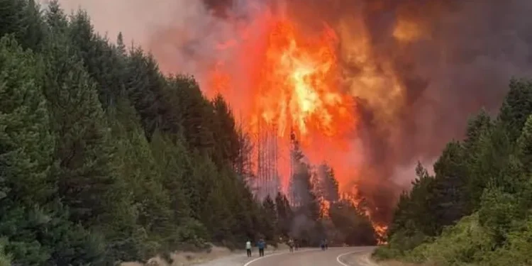 Chubut en llamas: Reclaman declaración de emergencia.