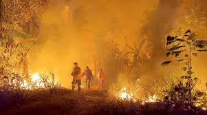 Torres: “Contenido en un 85%” el fuego de Chubut.