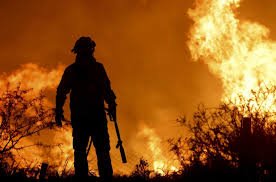 Basta de impunidad: Torres exige ley por incendios.