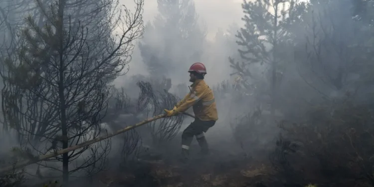Gobernadores, unidos por Ley de Emergencia Ígnea.
