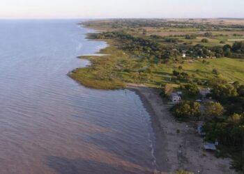 Explora la Reserva Natural Reconocida por la UNESCO, a Solo 150 km de CABA, Ideal para un Fin de Semana