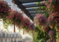 7 Especies de Plantas Colgantes para Revitalizar tu Balcón