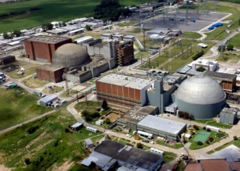 En la mira: la nuclear estatal que Milei quiere privatizar renovó su licencia para operar la planta más importante del país