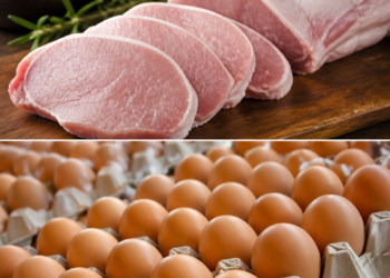 Aumento significativo en las exportaciones de carne de cerdo y huevos en el primer cuatrimestre