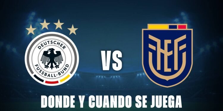Se definen los grupos del Mundial: seis partidos decisivos para las próximas clasificadas