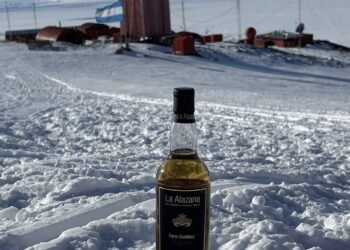 De un destilador artesanal al único whisky antártico: la familia argentina que conquistó un mercado exclusivo