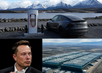 El proyecto de Elon Musk en la Patagonia: cargadores de vehículos eléctricos hasta Ushuaia y un gran centro tecnológico en Neuquén